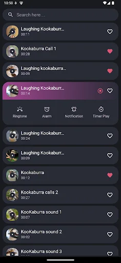 I-download ang Kookaburra Bird Sounds – Mga Ringtone na Libre - Screenshot 2