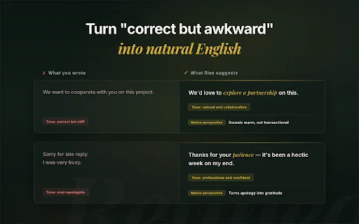 Ries AI: Magsulat at Magsalin ng English nang Propesyonal - Screenshot 2
