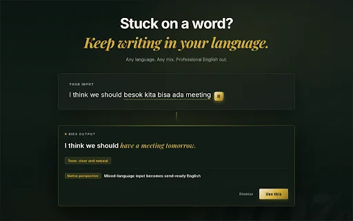 Ries AI: Magsulat at Magsalin ng English nang Propesyonal - Screenshot 3