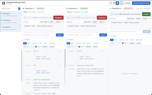 PieSocket WebSocket Client: Debugger para sa Developers - Screenshot 2