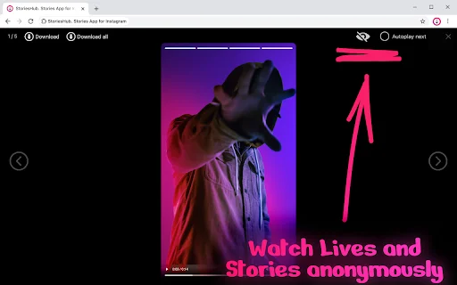 StoriesHub: Manood at Mag-download ng IG Stories nang Lihim – Free - Screenshot 4